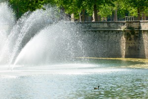 Nîmes, les jardins de la fontaine